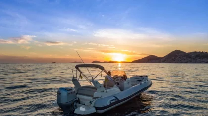 Marlin 23
